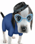 pic for Cool Dog